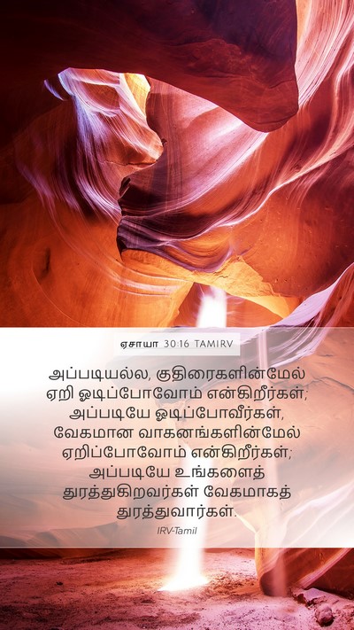 ஏசாயா 30:16 TAMIRV Bible Verse Image