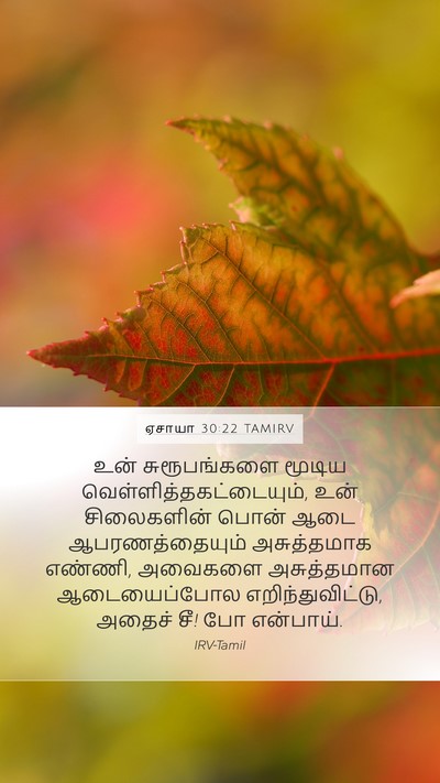 ஏசாயா 30:22 TAMIRV Mobile Phone Wallpaper - உன் சுரூபங்களை - Mobile Bible Verse Wallpaper