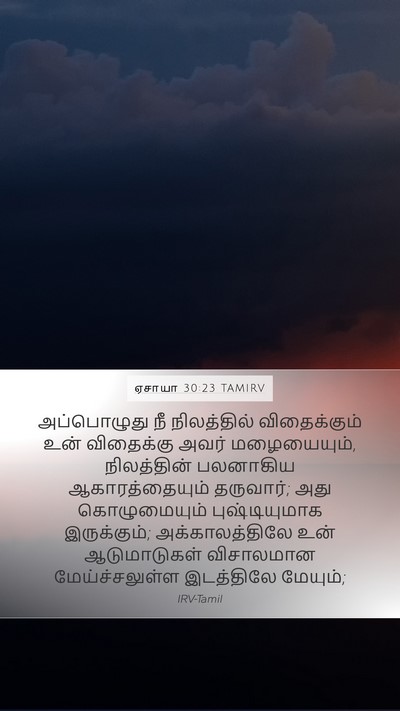 ஏசாயா 30:23 TAMIRV Bible Verse Image