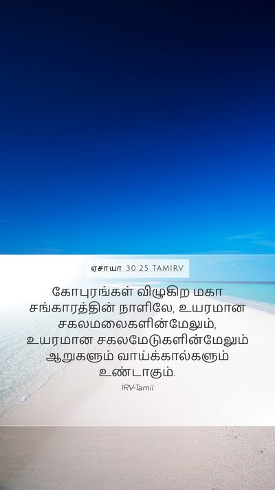 ஏசாயா 30:25 TAMIRV Bible Verse Image