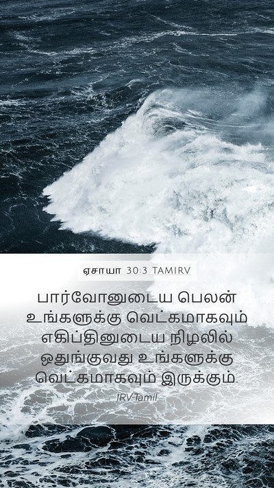 ஏசாயா 30:3 TAMIRV Bible Verse Image