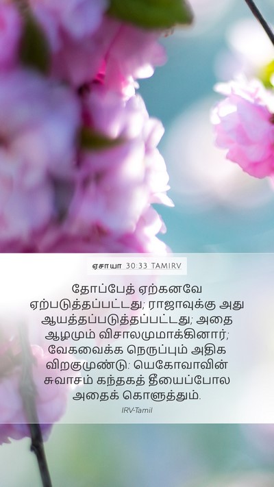 ஏசாயா 30:33 TAMIRV Bible Verse Image