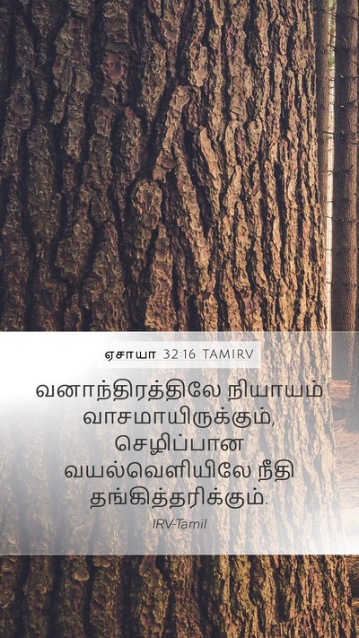 ஏசாயா 32:16 TAMIRV Bible Verse Image
