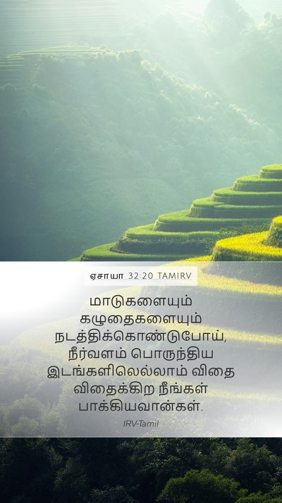 ஏசாயா 32:20 TAMIRV Bible Verse Image