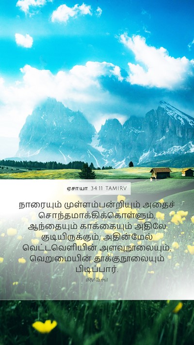 ஏசாயா 34:11 TAMIRV Bible Verse Image