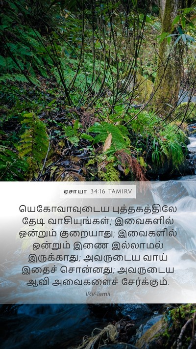 ஏசாயா 34:16 TAMIRV Bible Verse Image