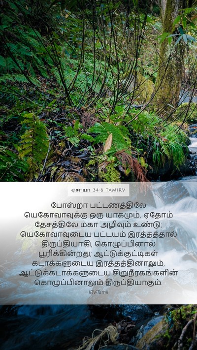 ஏசாயா 34:6 TAMIRV Bible Verse Image