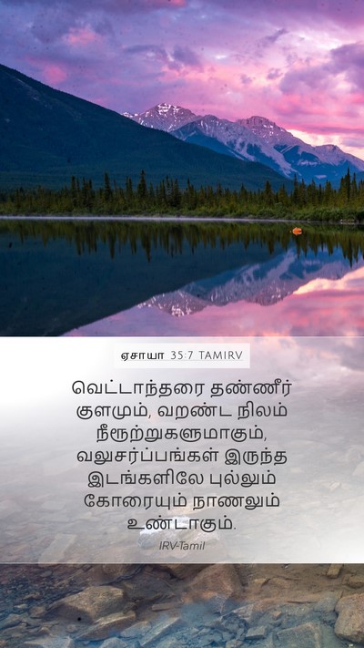 ஏசாயா 35:7 TAMIRV Bible Verse Image