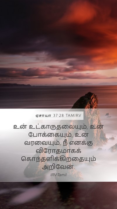 ஏசாயா 37:28 TAMIRV Bible Verse Image