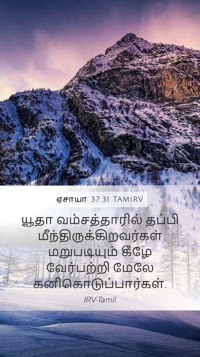 ஏசாயா 37:31 TAMIRV Mobile Phone Wallpaper - யூதா வம்சத்தாரில் - Mobile Bible Verse Wallpaper