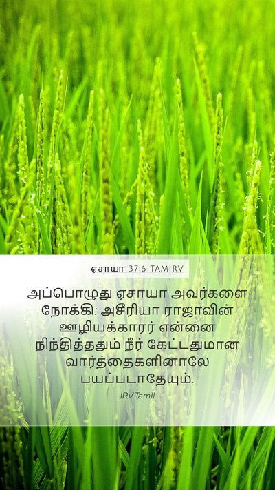 ஏசாயா 37:6 TAMIRV Bible Verse Image