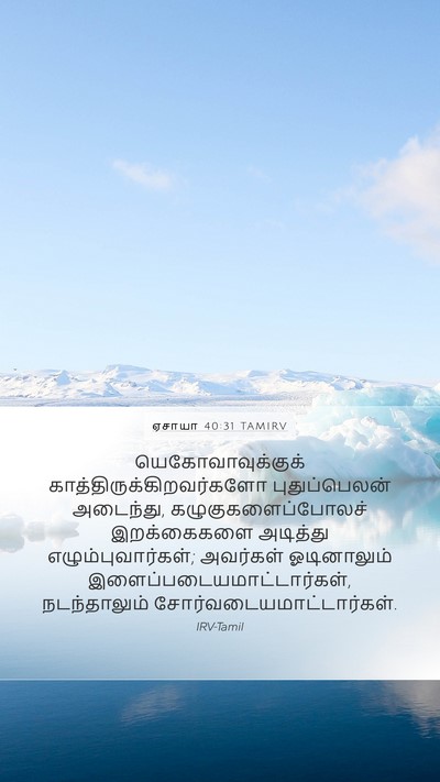 ஏசாயா 40:31 TAMIRV Bible Verse Image