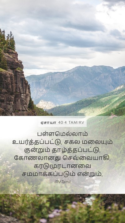 ஏசாயா 40:4 TAMIRV Bible Verse Image