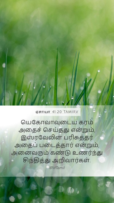 ஏசாயா 41:20 TAMIRV Mobile Phone Wallpaper - யெகோவாவுடைய கரம் - Mobile Bible Verse Wallpaper