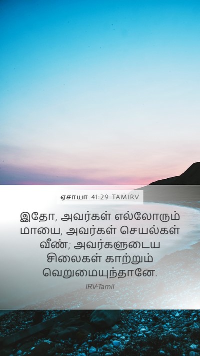 ஏசாயா 41:29 TAMIRV Bible Verse Image