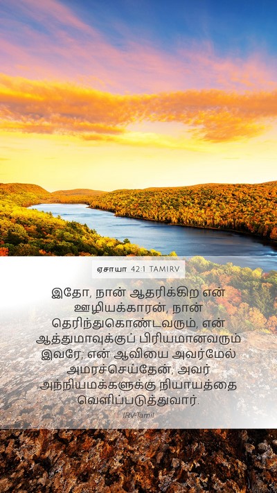 ஏசாயா 42:1 TAMIRV Bible Verse Image