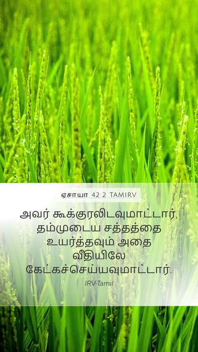 ஏசாயா 42:2 TAMIRV Bible Verse Image