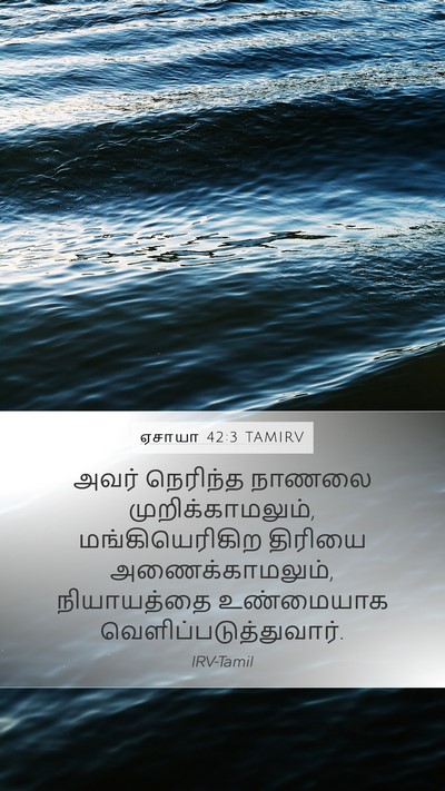ஏசாயா 42:3 TAMIRV Bible Verse Image