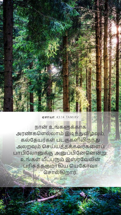 ஏசாயா 43:14 TAMIRV Bible Verse Image