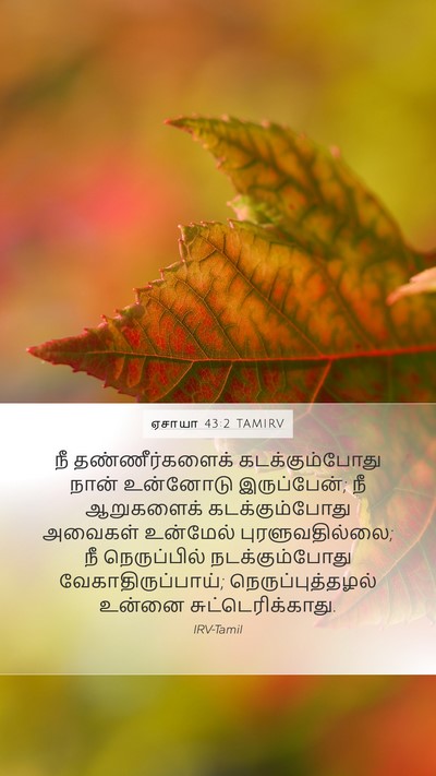 ஏசாயா 43:2 TAMIRV Bible Verse Image