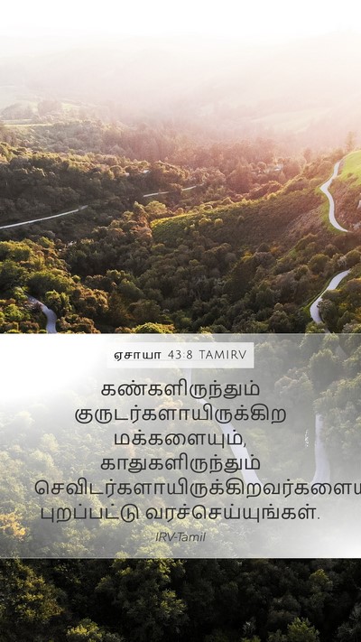 ஏசாயா 43:8 TAMIRV Bible Verse Image