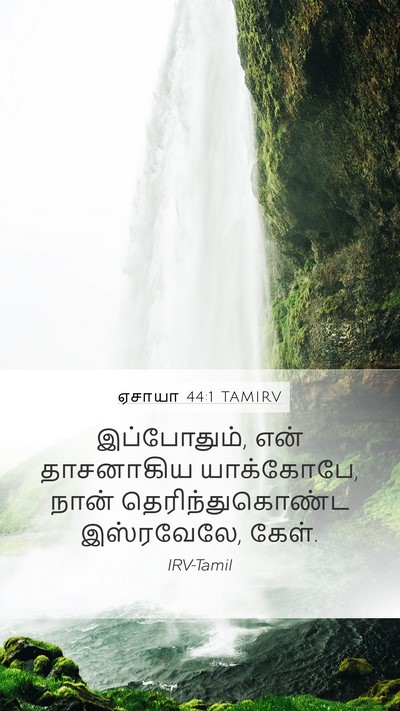 ஏசாயா 44:1 TAMIRV Mobile Phone Wallpaper - இப்போதும், என் - Mobile Bible Verse Wallpaper