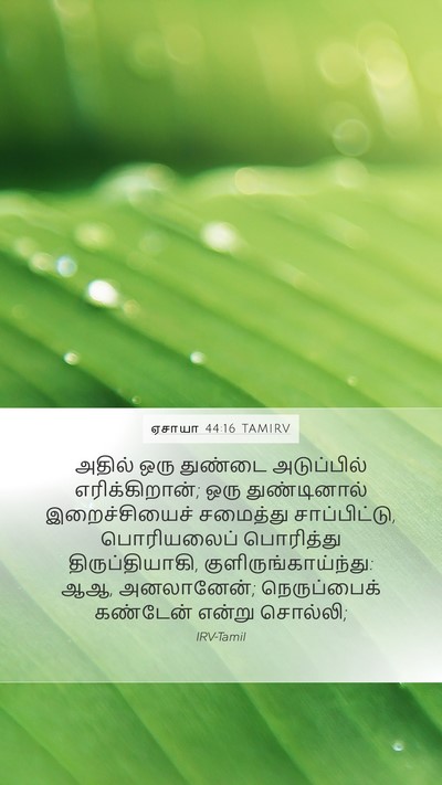 ஏசாயா 44:16 TAMIRV Bible Verse Image