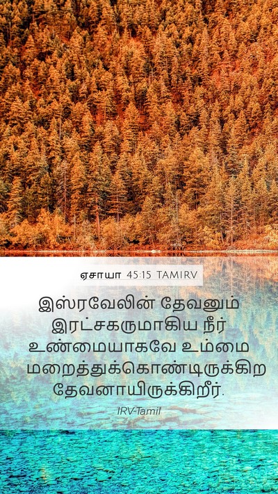 ஏசாயா 45:15 TAMIRV Bible Verse Image