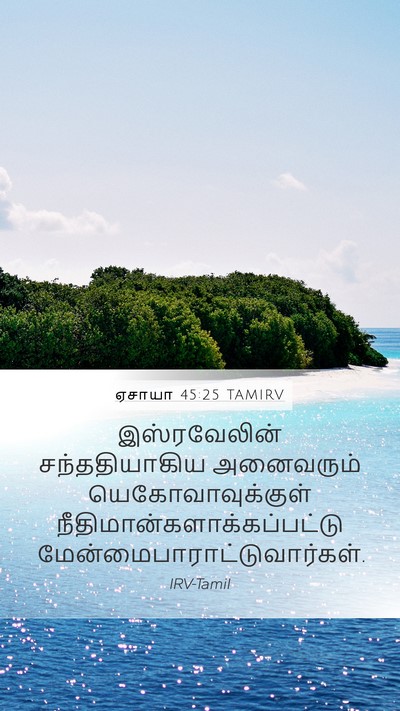 ஏசாயா 45:25 TAMIRV Bible Verse Image