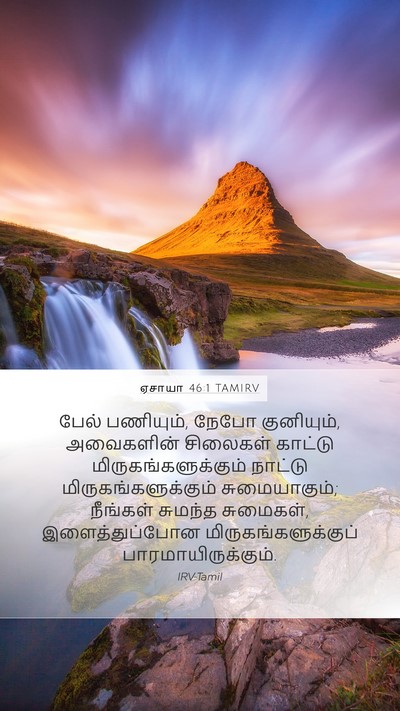 ஏசாயா 46:1 TAMIRV Mobile Phone Wallpaper - பேல் பணியும், நேபோ - Mobile Bible Verse Wallpaper