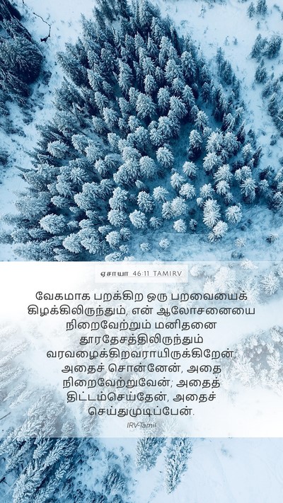 ஏசாயா 46:11 TAMIRV Bible Verse Image