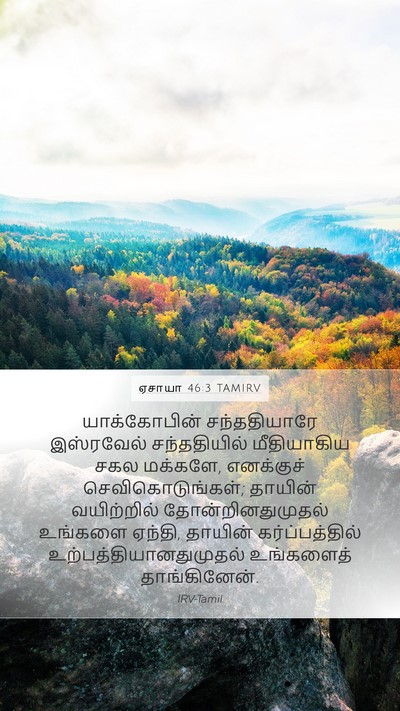 ஏசாயா 46:3 TAMIRV Bible Verse Image
