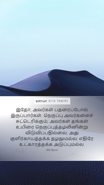 ஏசாயா 47:14 TAMIRV Bible Verse Image