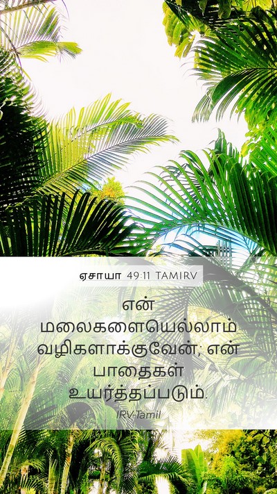ஏசாயா 49:11 TAMIRV Bible Verse Image