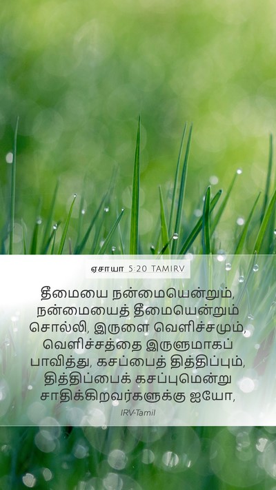 ஏசாயா 5:20 TAMIRV Bible Verse Image