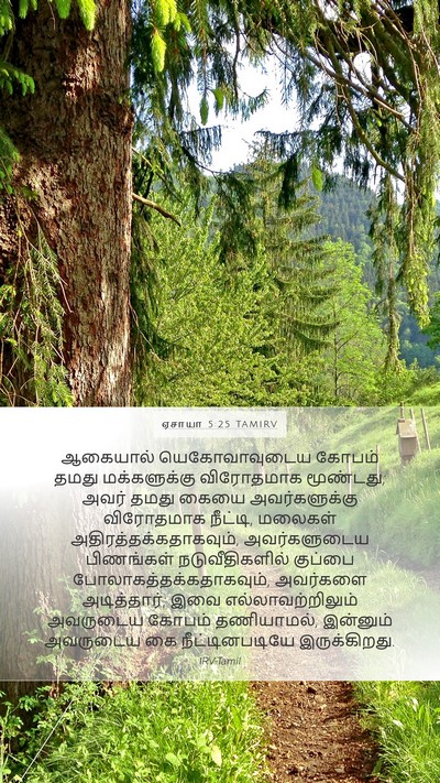ஏசாயா 5:25 TAMIRV Bible Verse Image