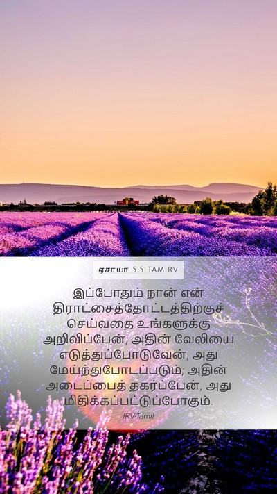 ஏசாயா 5:5 TAMIRV Bible Verse Image