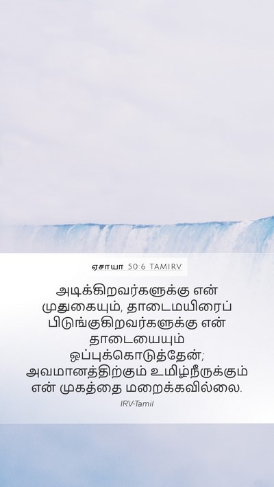ஏசாயா 50:6 TAMIRV Bible Verse Image