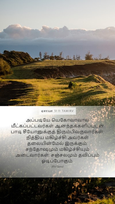 ஏசாயா 51:11 TAMIRV Bible Verse Image