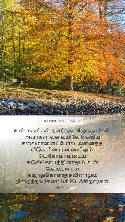 ஏசாயா 51:20 TAMIRV Bible Verse Image