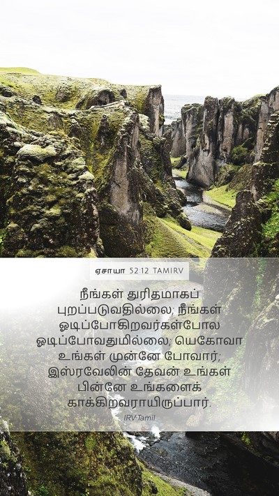 ஏசாயா 52:12 TAMIRV Bible Verse Image