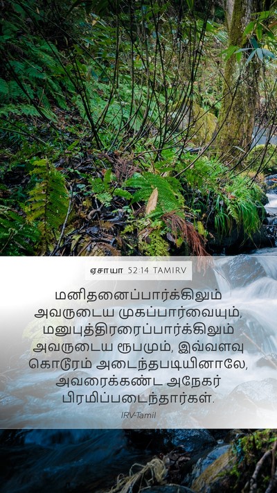 ஏசாயா 52:14 TAMIRV Bible Verse Image