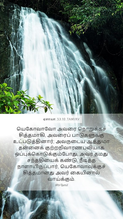 ஏசாயா 53:10 TAMIRV Bible Verse Image