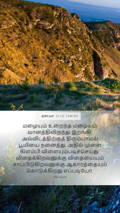 ஏசாயா 55:10 TAMIRV Bible Verse Image