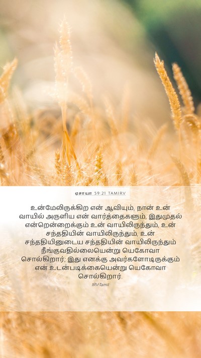 ஏசாயா 59:21 TAMIRV Bible Verse Image