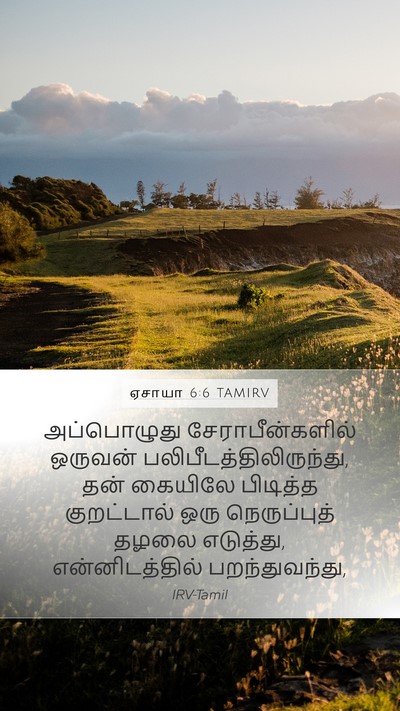 ஏசாயா 6:6 TAMIRV Bible Verse Image