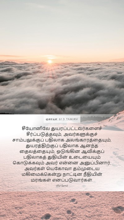 ஏசாயா 61:3 TAMIRV Bible Verse Image