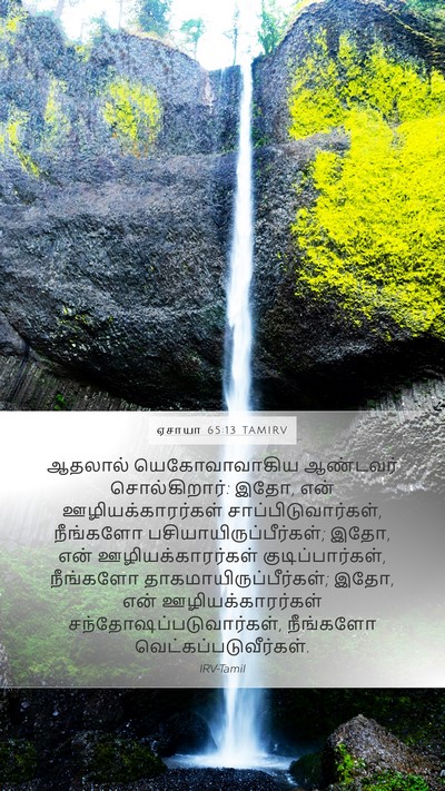 ஏசாயா 65:13 TAMIRV Bible Verse Image