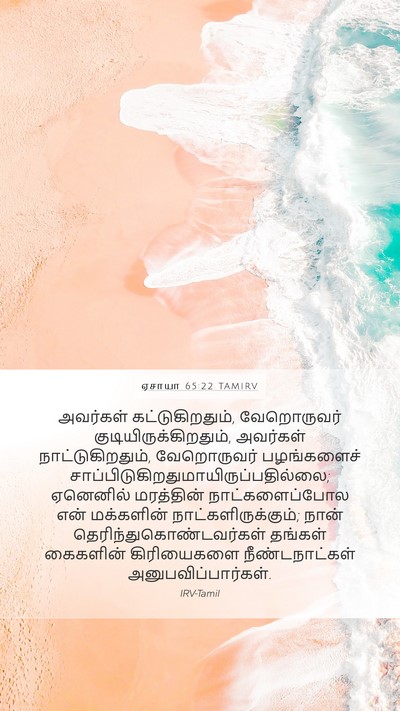 ஏசாயா 65:22 TAMIRV Bible Verse Image