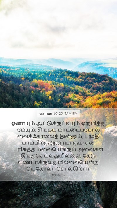 ஏசாயா 65:25 TAMIRV Bible Verse Image
